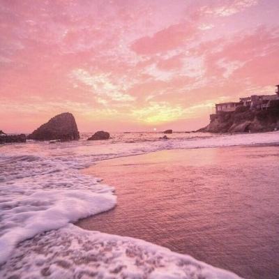 4949澳门免费资料大全手机app下载