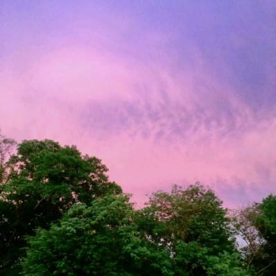 best365官网app下载