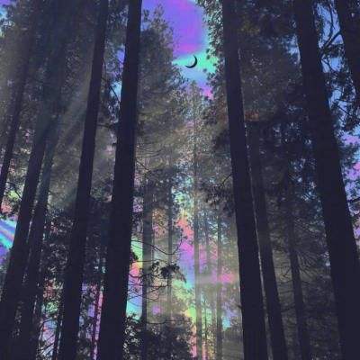 云顶集团app下载