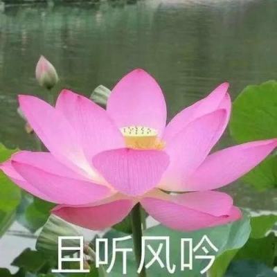竞彩足球app官网下载