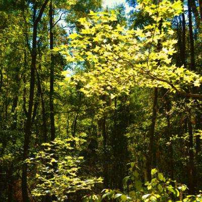 幸运快3在线官网