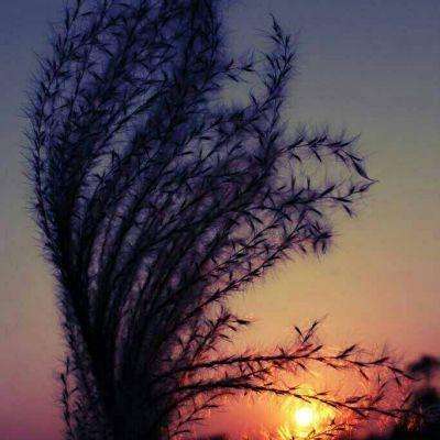 欧意交易所app官方下载